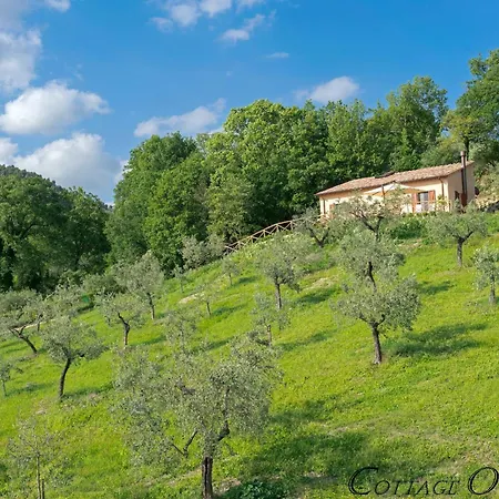 Villa Cuore I Vallaroni *