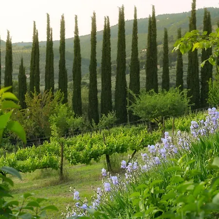 Villa Cuore I Vallaroni *