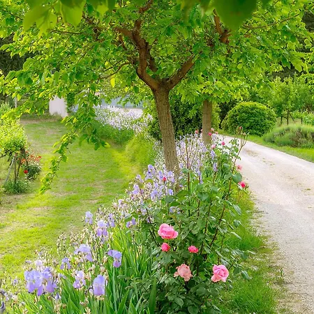 Cuore I Vallaroni Villa