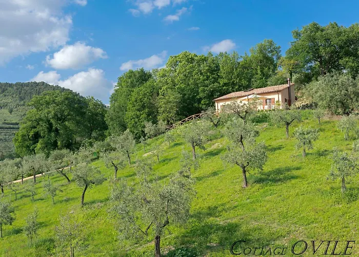 Villa Cuore I Vallaroni *